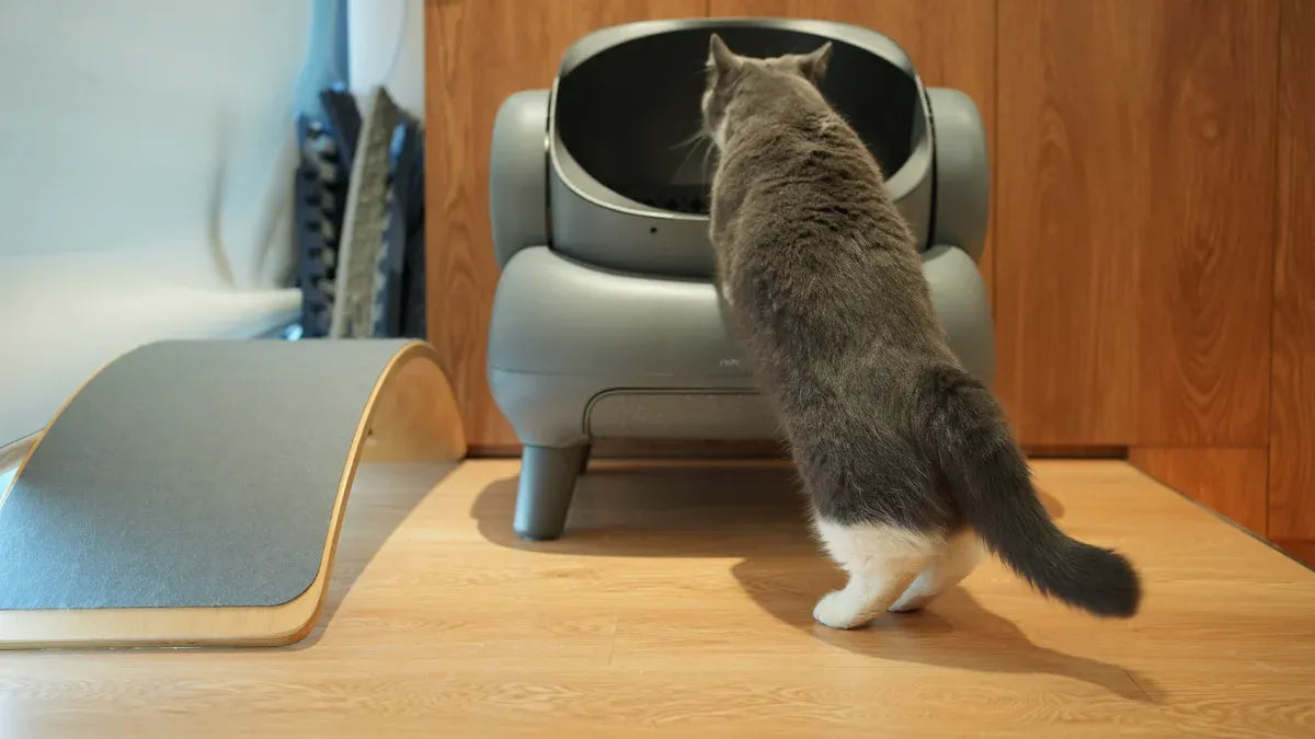Top 7 Cat Litter Odor Eliminators for a Fresh Home