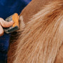 Top Static Cat Hair Remover Brushes Tested for 2025