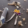 Top Cat Grooming Kits Compared for Features and Value