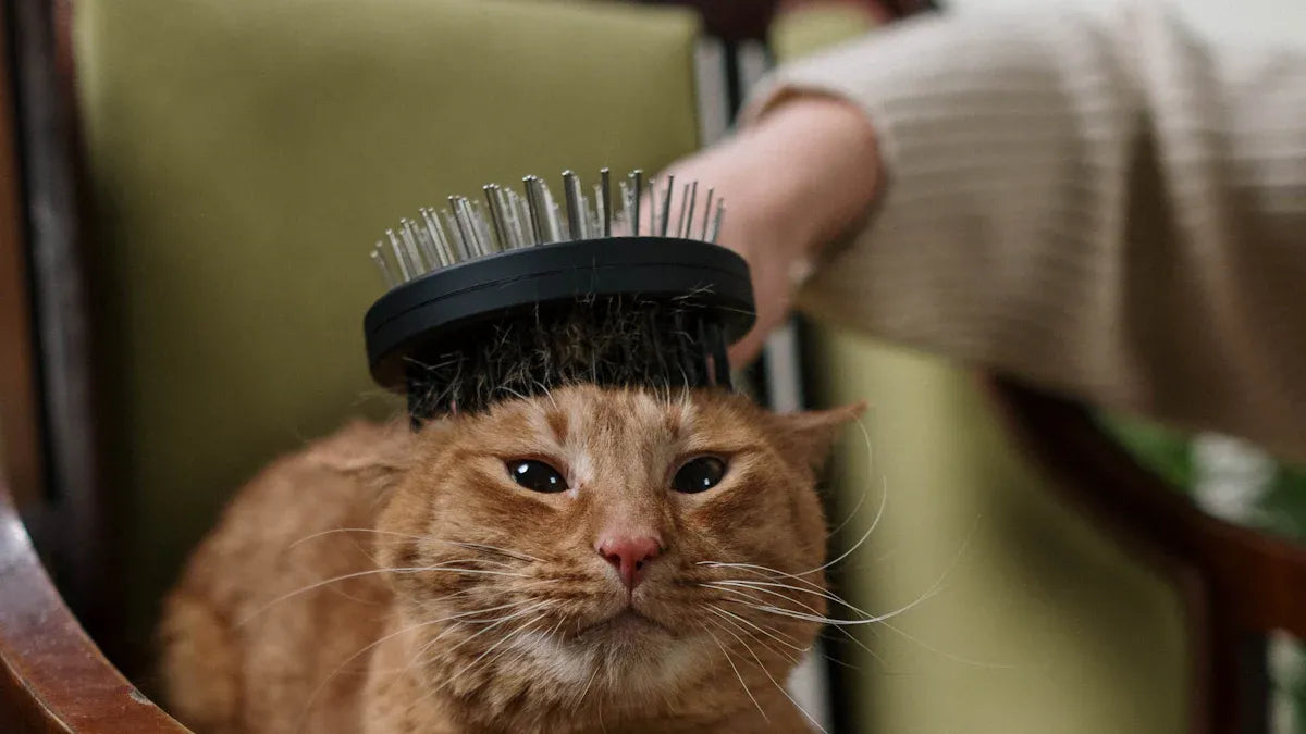 10 Top Cat Grooming Brushes Loved by Owners
