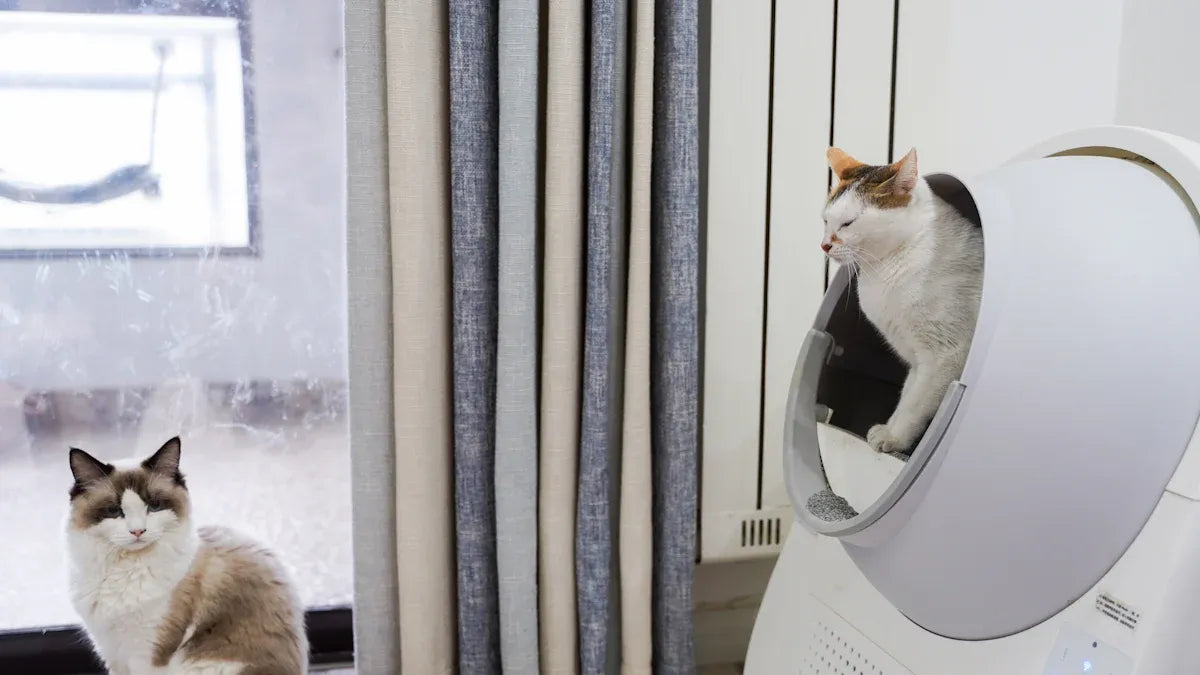 Top Full-Enclosed Cat Litter Boxes for Cleaner Homes