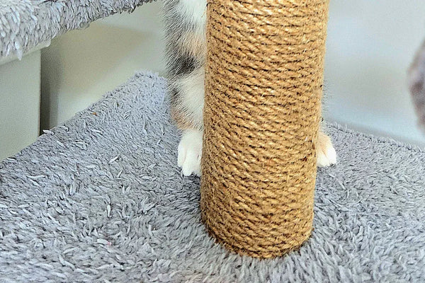 Top 10 Kitty Scratching Posts Every Kitten Will Love in 2025