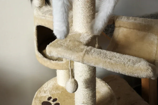Top 10 Sustainable Cat Scratch Board Sets for Modern Homes