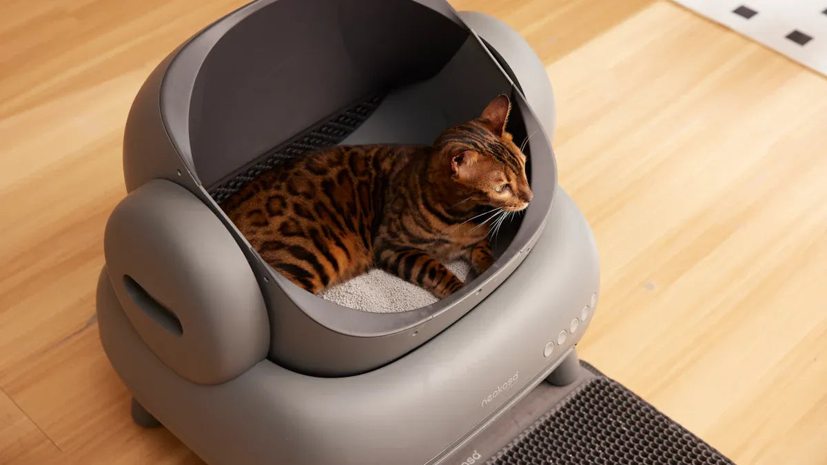 Top Essential Cat Owner Kits for New Pet Parents
