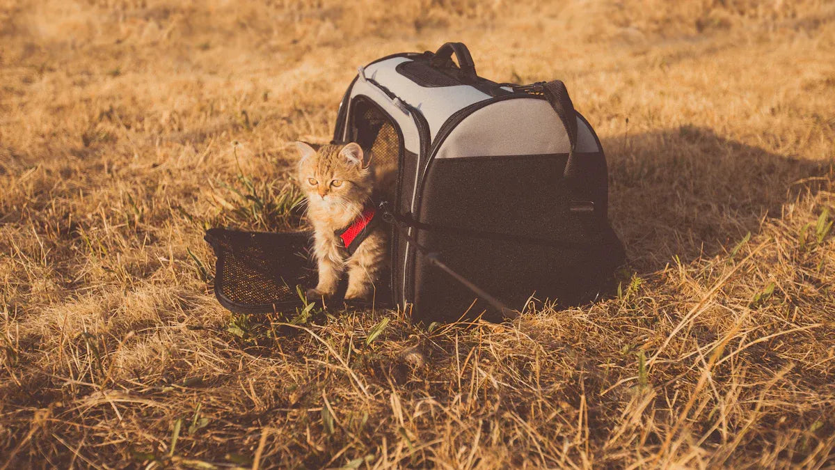 Top 3 Cat Travel Crate Picks for 2025