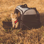 Top 3 Cat Travel Crate Picks for 2025