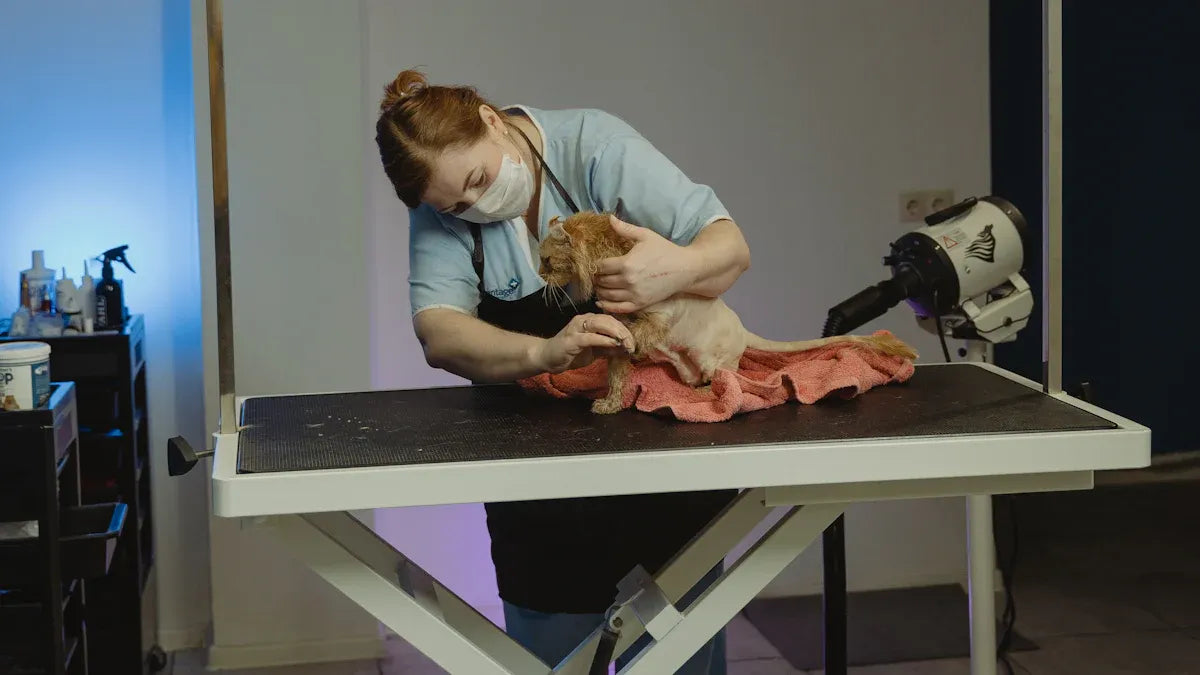 Top Disposable Pet Hair Brush Refills Tested and Reviewed