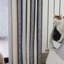 Top 7 Cat Litter Odor Eliminators Compared for Freshness
