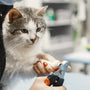 Top 10 Must-Have Cat Grooming Supplies Every Owner Needs