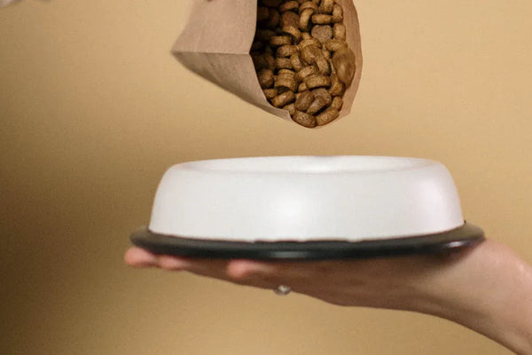 Top Cat Food Bowls for Easy Cleaning and Durability