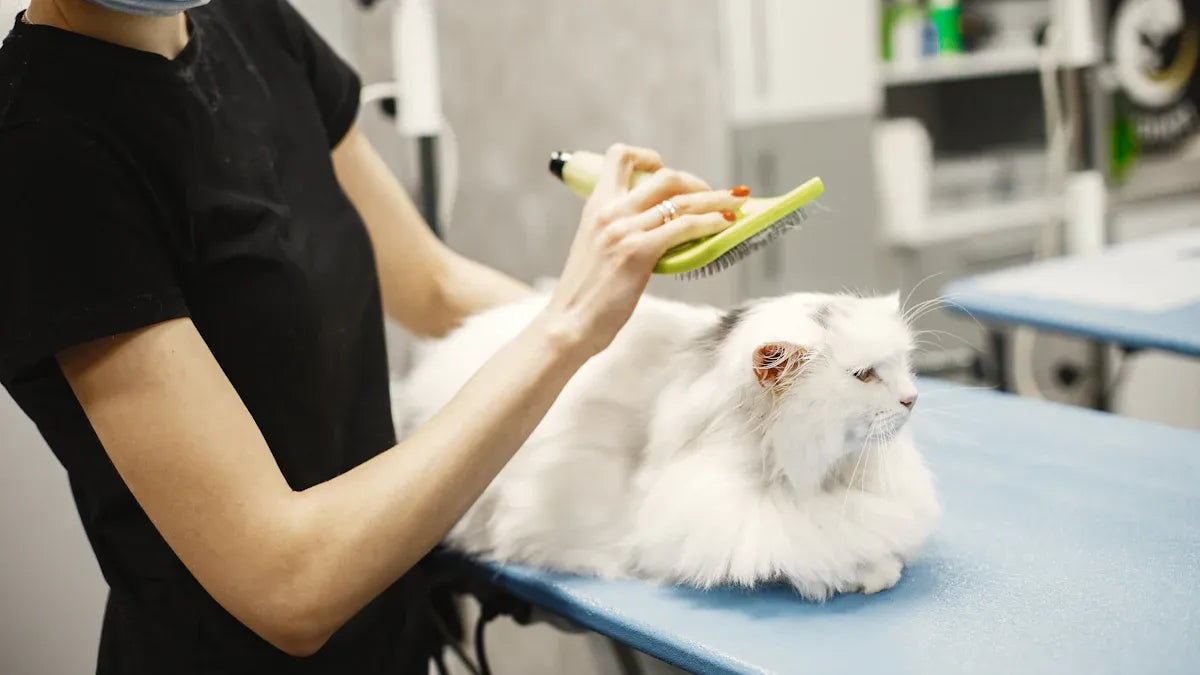 We Tested the Top Cat Hair Cleaning Kits for You