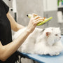 We Tested the Top Cat Hair Cleaning Kits for You