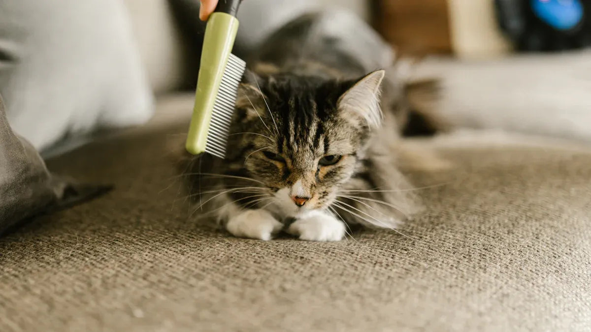 Top Ostrich Feather Dusters for Cat Hair Removal in 2025