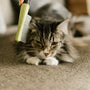 Top Ostrich Feather Dusters for Cat Hair Removal in 2025