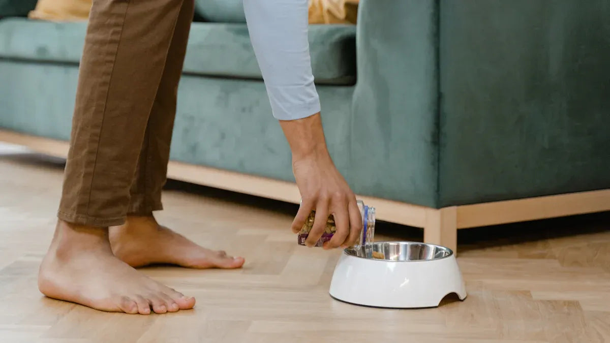Leak-proof cat food bowl showdown for mess-free meals