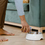Leak-proof cat food bowl showdown for mess-free meals