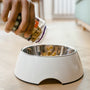 Top Cat Litter Deodorizer Powders for Fresh Homes in 2025