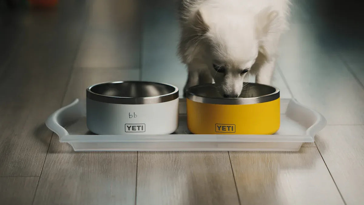 Top 10 Pet Water Bowls for Dogs and Cats in 2025