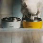Top 10 Pet Water Bowls for Dogs and Cats in 2025