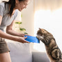 Top 12-Piece Cat Starter Kits Every New Owner Needs in 2025
