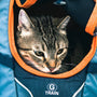 Top 10 Cat Carriers Loved by Cat Owners in 2025