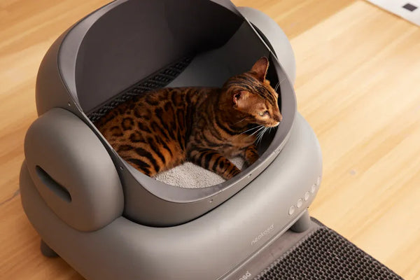 Stainless steel litter box deals at 5 top sites