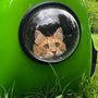 10 Cat Carriers Every Pet Owner Should Consider for Vet Visits