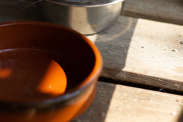 Top Cat Water Bowls Reviewed for 2025