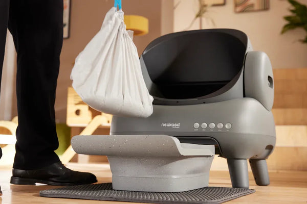 Covered Cat Litter Boxes with Scoop: What Pet Owners Need to Know