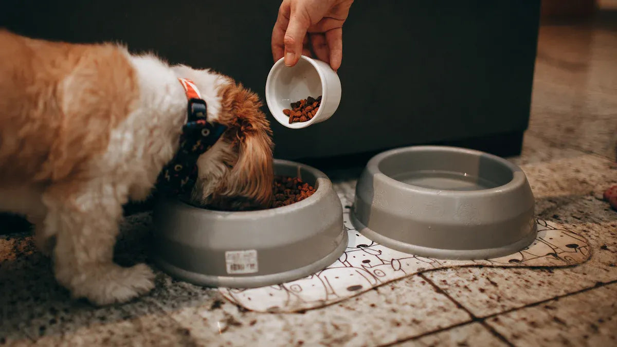Top 10 Leak-Proof Cat Food Bowls for Every Budget