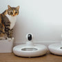 Best Smart Wet Cat Food Feeders with Built-In Refrigeration in 2025