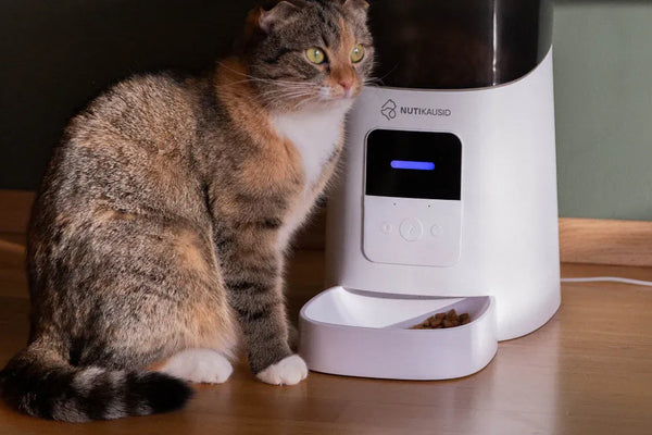 Top 3 Smart Wet Cat Food Feeder Models Compared