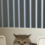 Stainless Steel Cat Litter Box Versus Plastic Options for Modern Homes