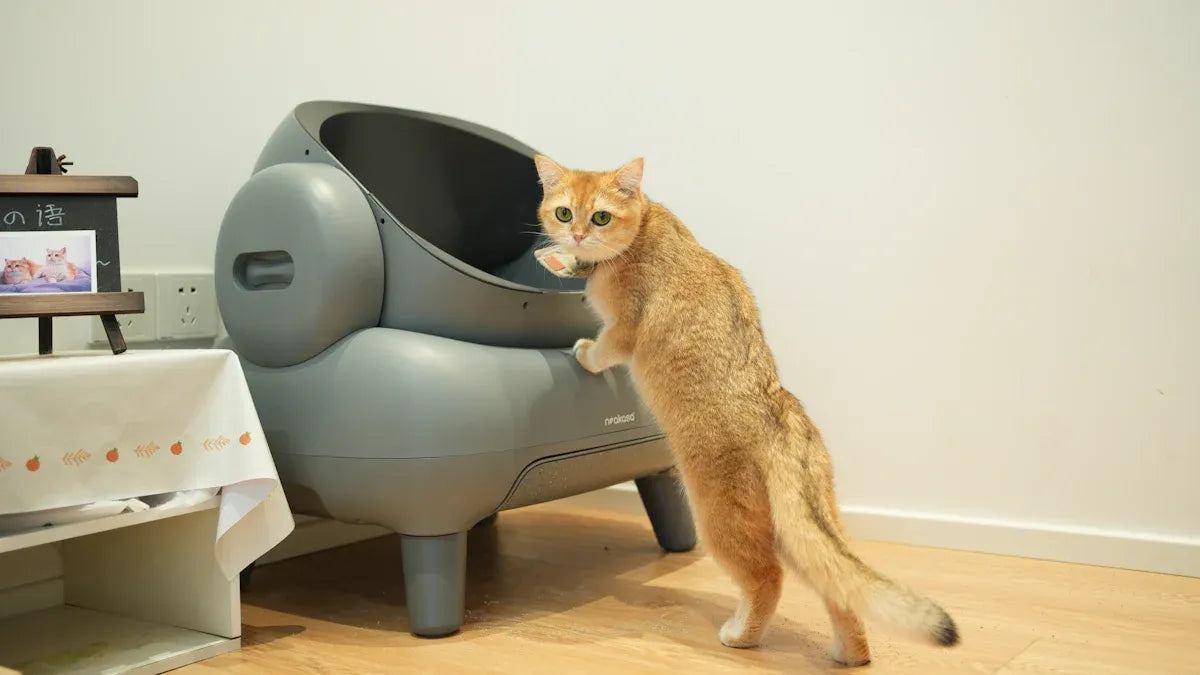 Top 10 High-Sided Litter Boxes for Messy Cats in 2025