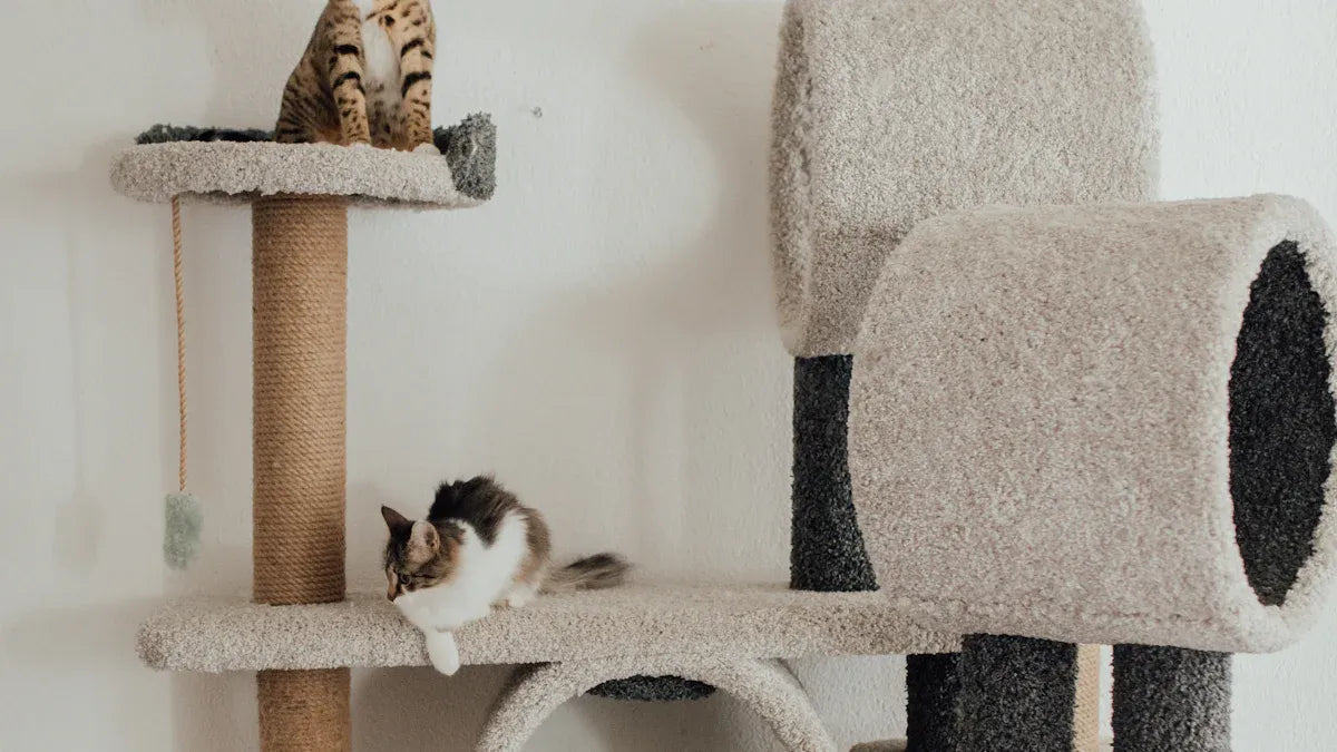 Top Cat Scratcher Beds for 2025 Reviewed