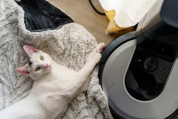 Top 10 Pet Hair Cleaning Essentials Every Owner Needs
