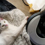 Top 10 Pet Hair Cleaning Essentials Every Owner Needs
