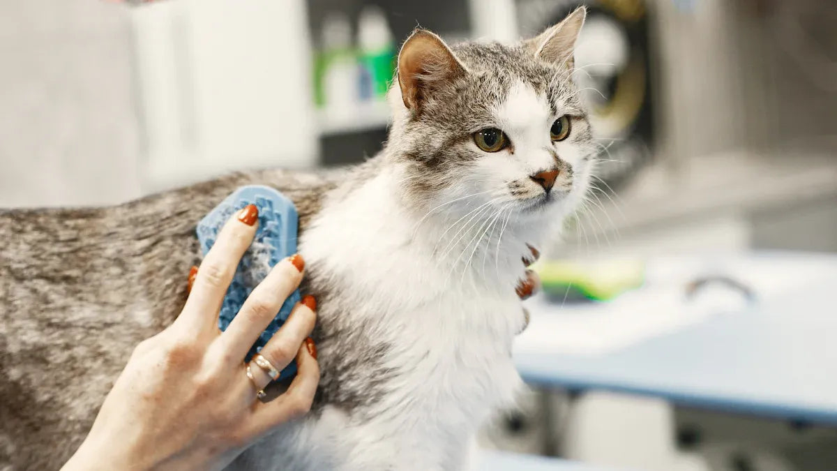 Top 10 Soft Pin Brushes Every Pet Owner Should Try