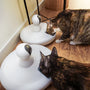 Pencantalk, Smart Wet Food Feeder, Cat Wet Food: Types, Ingredients & How to Choose the Best