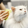 Top 8 Soft Pin Combs for Cats Reviewed in 2025