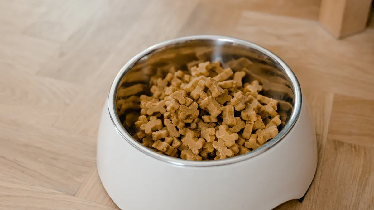 Top 10 Leak-Proof Cat Food Bowls for Mess-Free Feeding
