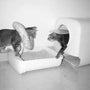 Top Cat Litter Boxes for Every Home in 2025