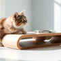 Why Your Feline Friend Needs a Cat Elevated Bowl: Benefits and Top Picks
