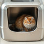 Why a Stainless Steel Cat Litter Box Might Be Your Best Choice