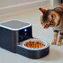 Revolutionize Your Pet Care: The Ultimate Guide to the Wifi Enabled Cat Feeder