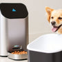 Revolutionize Mealtime: The Benefits of a Mic Chip Food Feeder for Your Pet