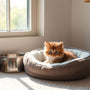 Your Ultimate Beginner Cat Kit: Everything a New Owner Needs