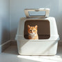 Discover the Top Entry Cat Litter Box: Your Guide to a Cleaner Home