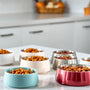 Choosing the Best Cat Food Bowls: A Comprehensive Guide