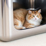 Why a Stainless Steel Cat Litter Box Might Be the Best Choice for Your Feline Friend